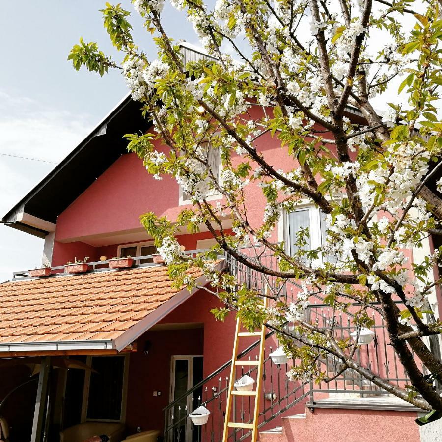 Apartments "Predah Kod Baraca" Ni Buitenkant foto